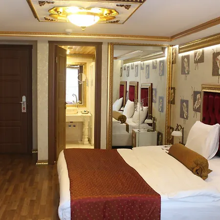 مرمرة ديلوكس فندق اسطنبول